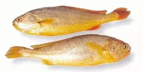 世界最好吃的十大海鲜排行榜,温州最有名的十大海鲜