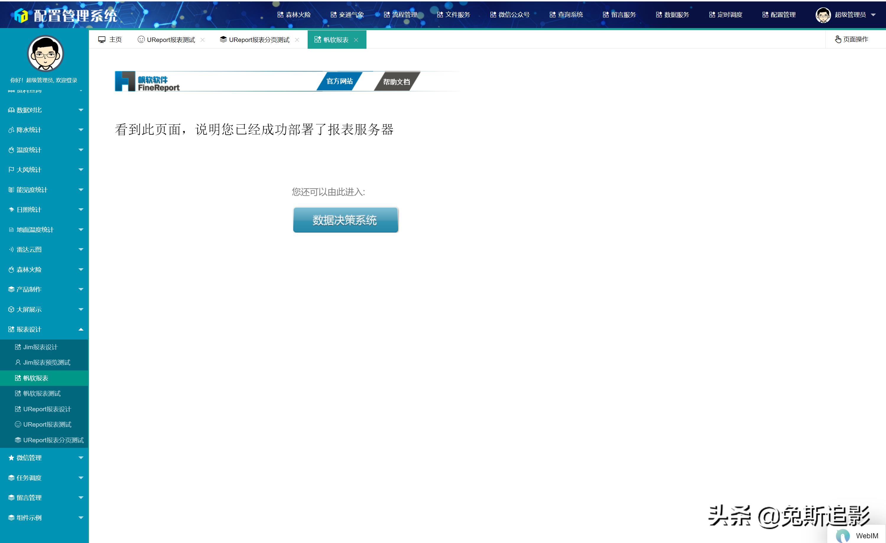 finereport决策报表模板,系统集成配置管理审计