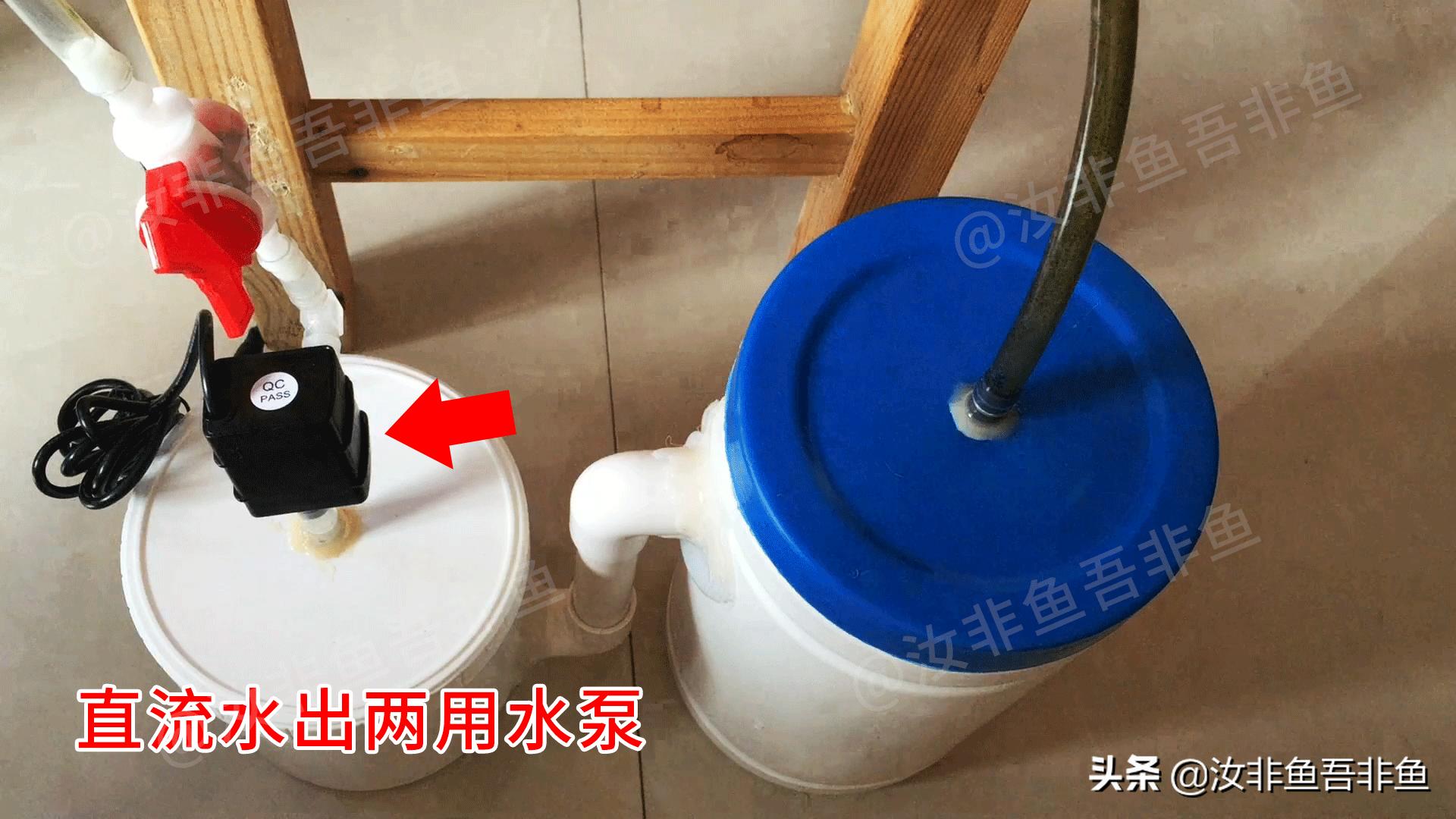 孔雀鱼鱼缸简易过滤器制作,鱼缸开缸过滤器制作方法