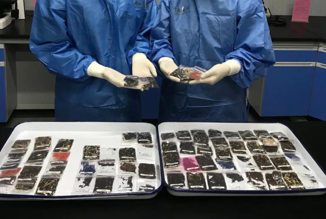 种子会被国际海关扣吗,代购种子违法吗