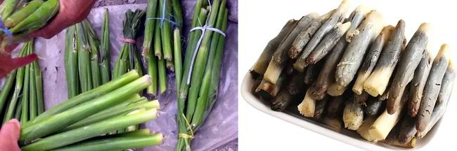 高粱全世界都有吗,各种高粱的认识