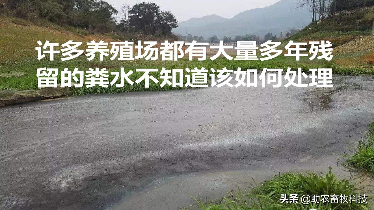 养殖场粪水应该如何处理,养殖场废水无害化处理方法