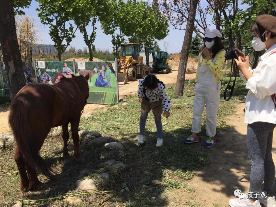 太阳葡萄小镇亲子乐园,亲子游太阳葡萄小镇