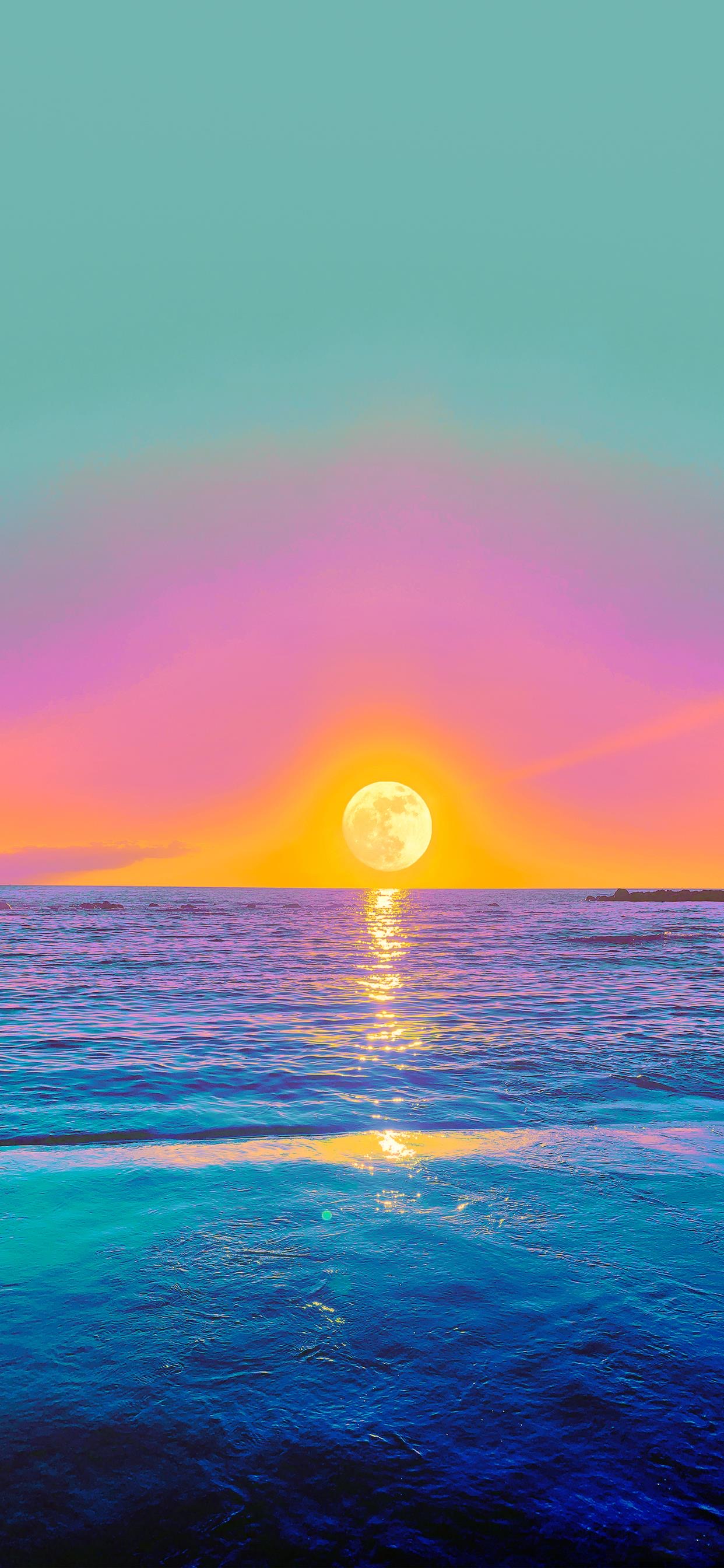 小豹子壁纸可爱图片,小豹壁纸