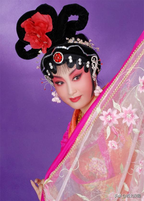 易俗社王曼抖音,易俗社秦腔全部名家