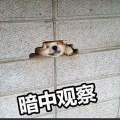 微信新规定三种行为将被封号,微信被封号15天还无法登录怎么办