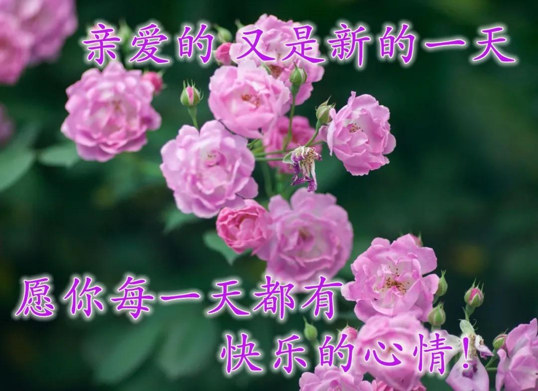 早安佛祖祝福带字美图,最新早安带字祝福图片