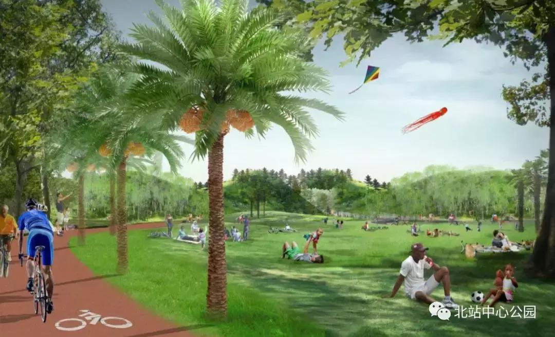 深圳将建8万人专业足球场,全国最大足球公园