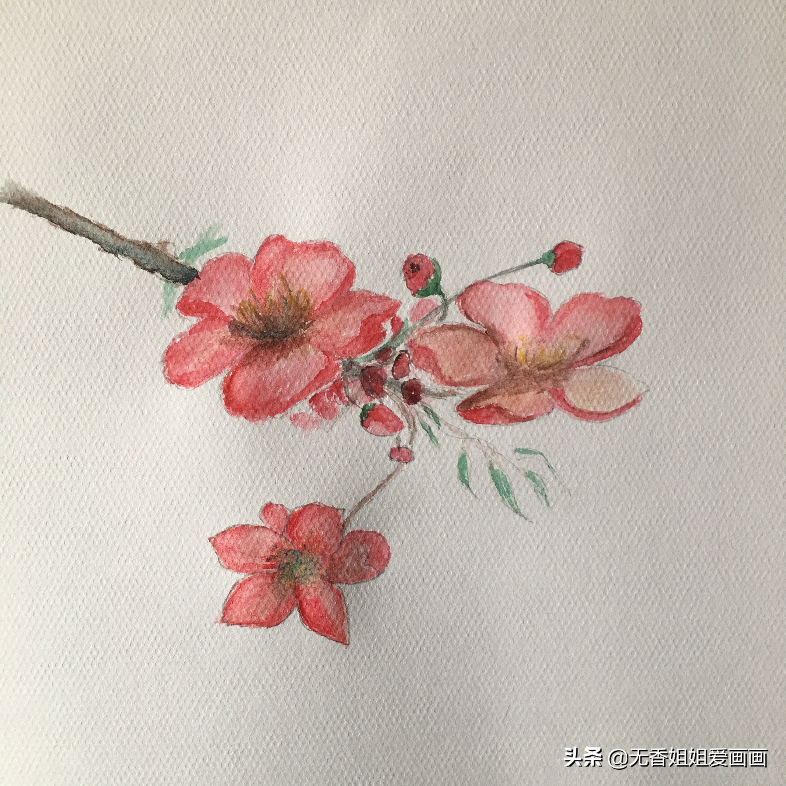 手绘桃花图片小学,马克笔手绘教程桃花