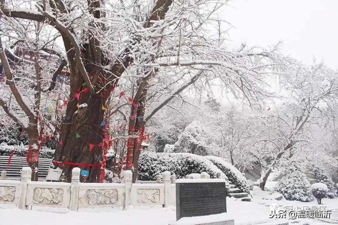 雪后的临沭小城，美得令人窒息