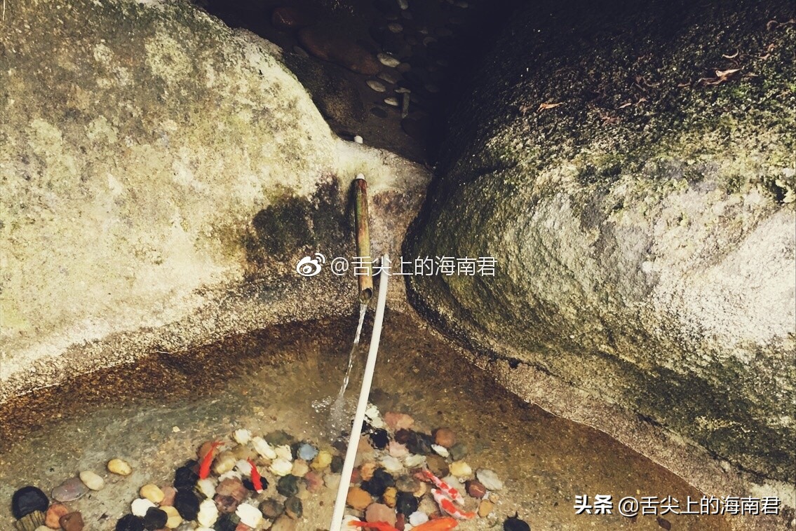 令人流连忘返的美景,令人心旷神怡的地方海南