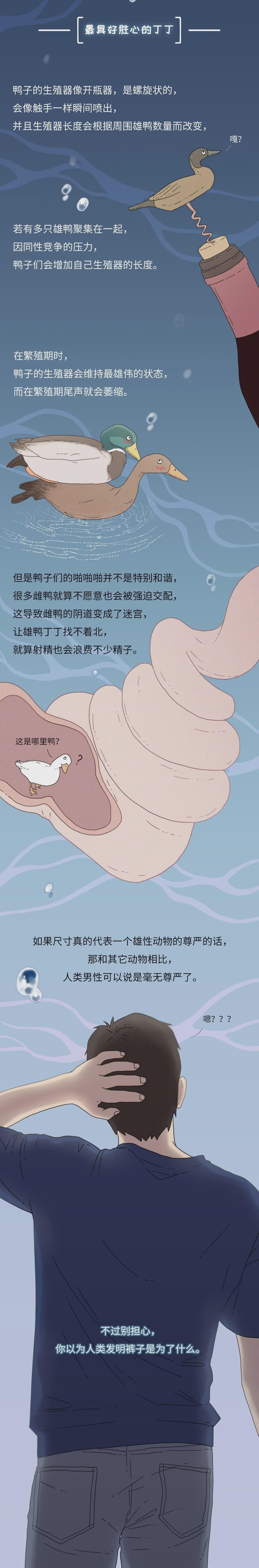 为什么同样是丁丁，差距却这么大？34cm竟然排垫底