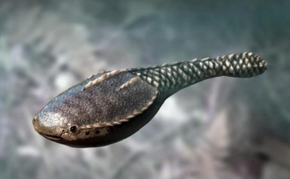 邓氏鱼怎么灭亡,邓氏鱼用什么驯服