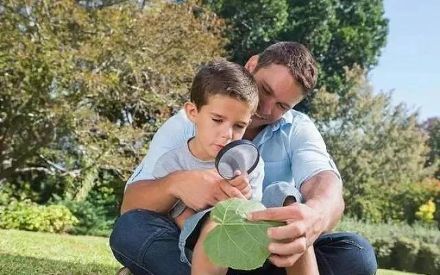 孩子记忆力差注意力不集中怎么办,孩子不专注记忆力差怎么办