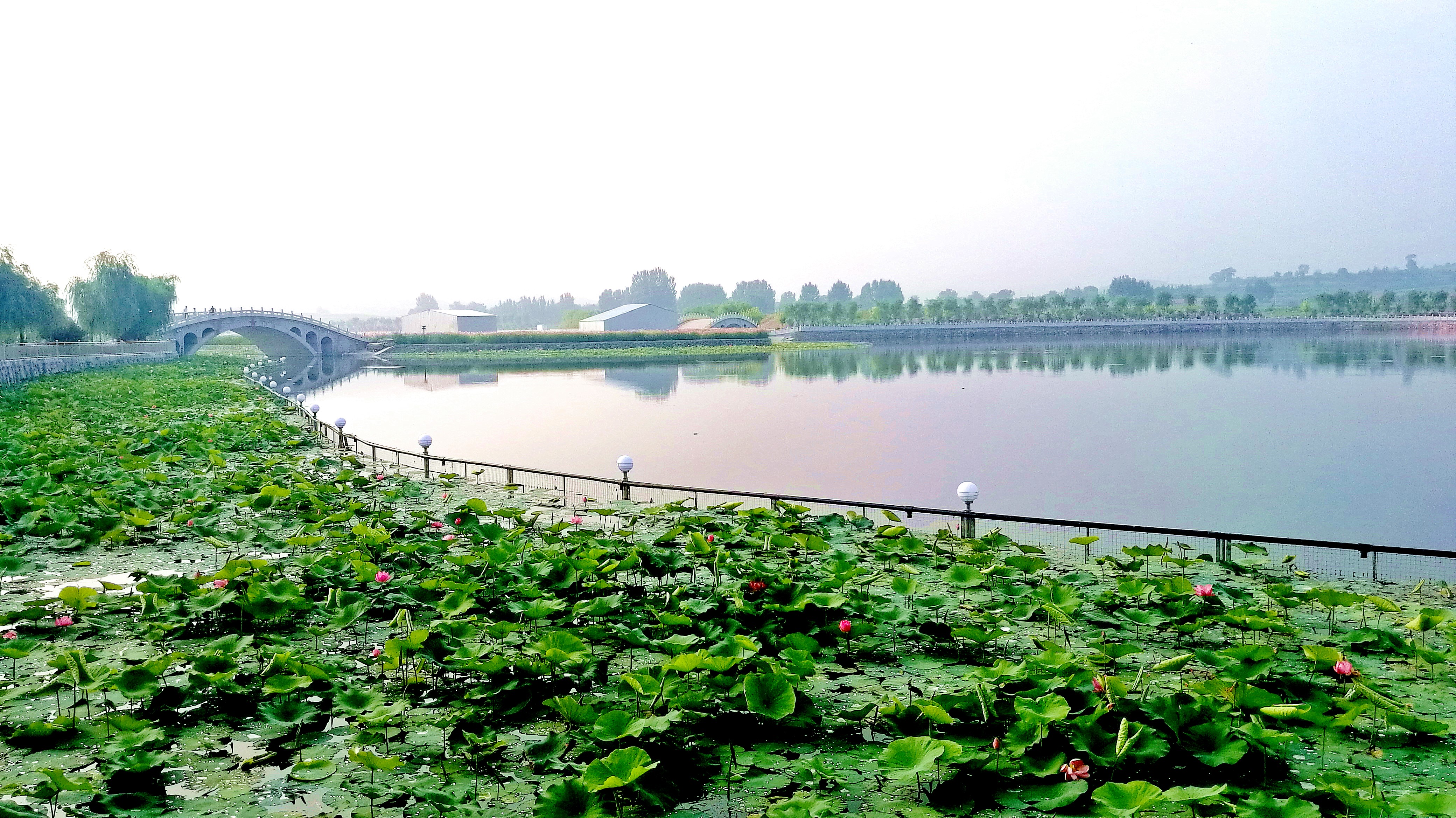 河北涞源避暑,涞源比秦皇岛凉快吗