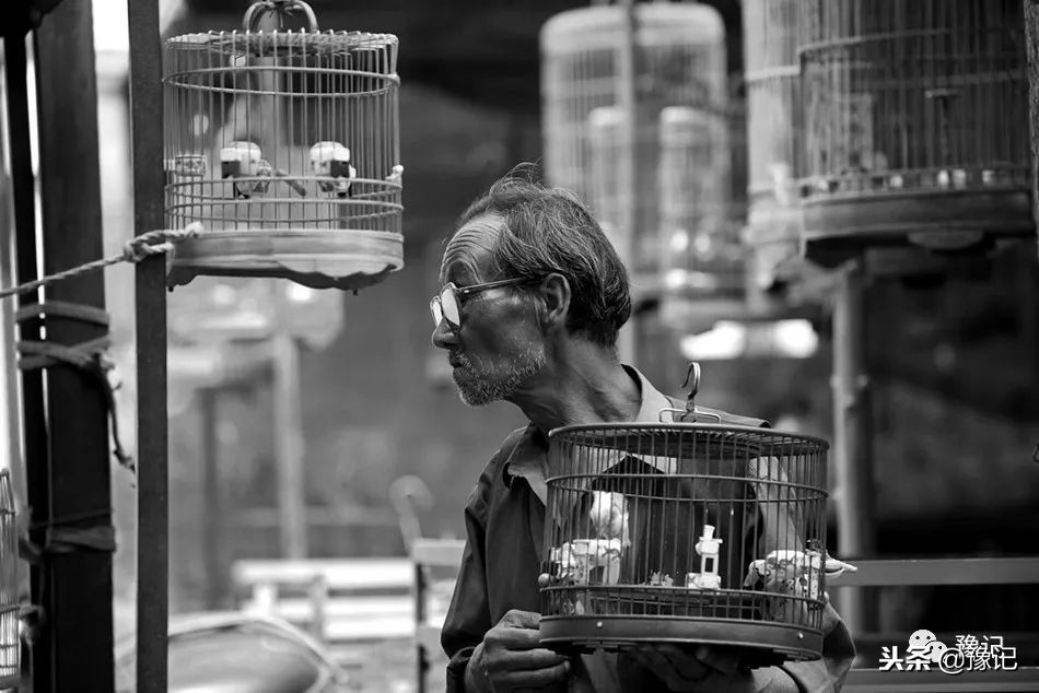 皇城根脚下，那是开封大爷遛鸟的天地