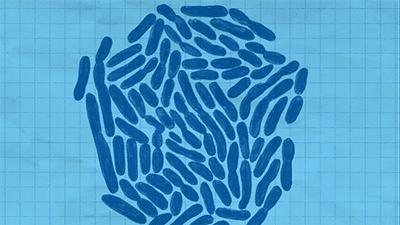 女生爱护自己的秘密,女生保护自己的小秘密