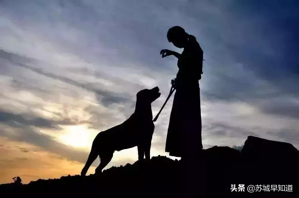 苏州平江路万达广场,苏州万达广场平江店