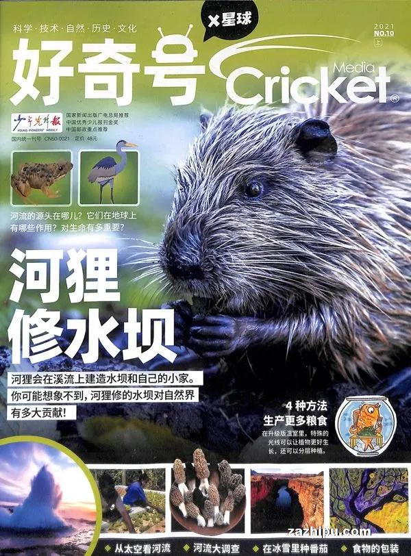 如何订阅高端杂志,杂志在哪里订阅最好