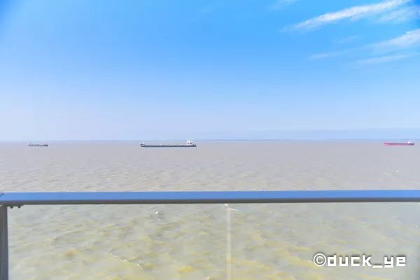 乘坐皇家加勒比邮轮太阳光光谱号,黄晓明皇家加勒比海洋光谱号