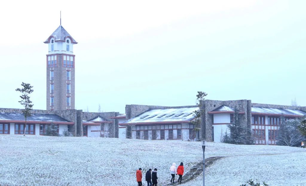 东软，青城山下最大的养老院型综合网吧