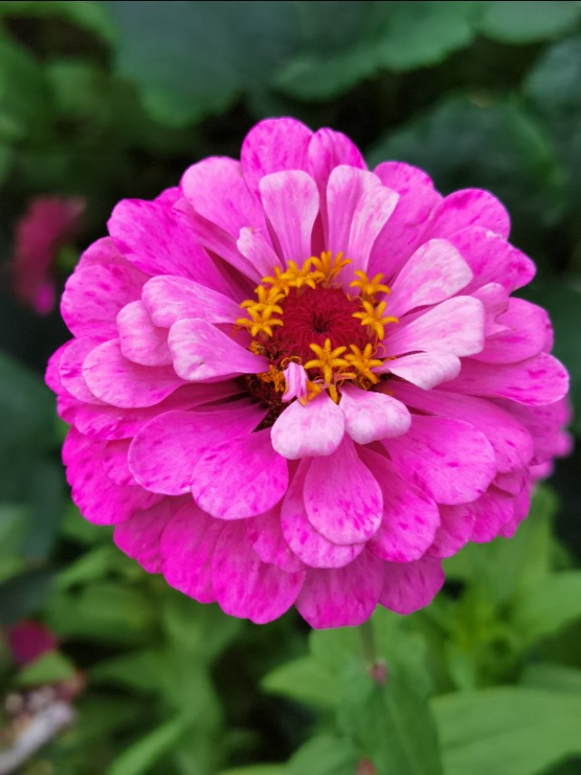 985大学家长求助学校,父母985孩子是学渣怎么开导孩子