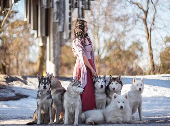 想养猫又怕被猫抓,俄罗斯养猞猁