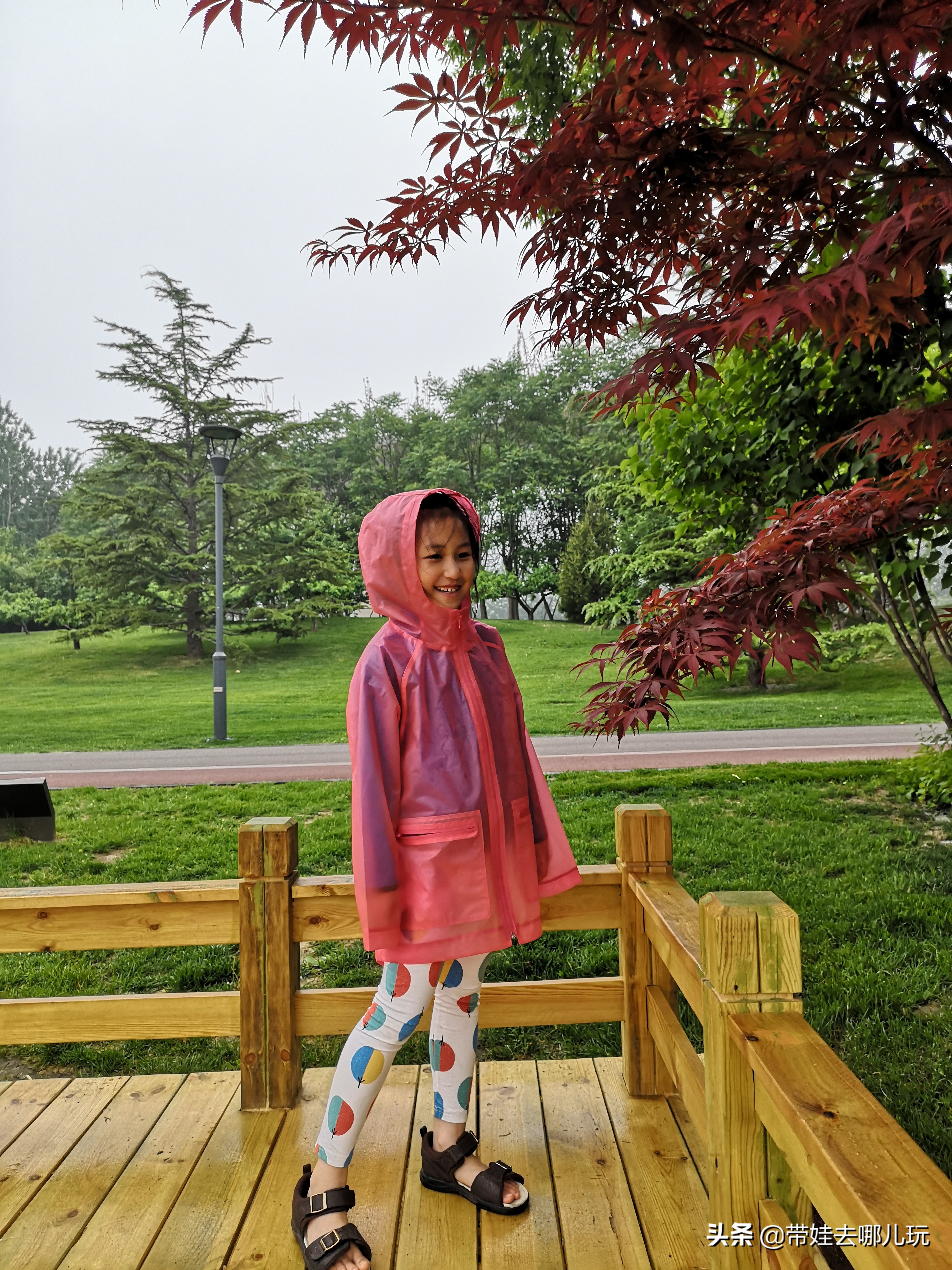 海德公园参观,北京的海德公园