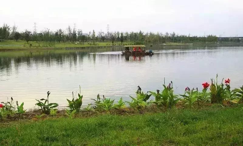 西安水上公园带孩子玩的好去处,西安草滩周边免费带娃景点