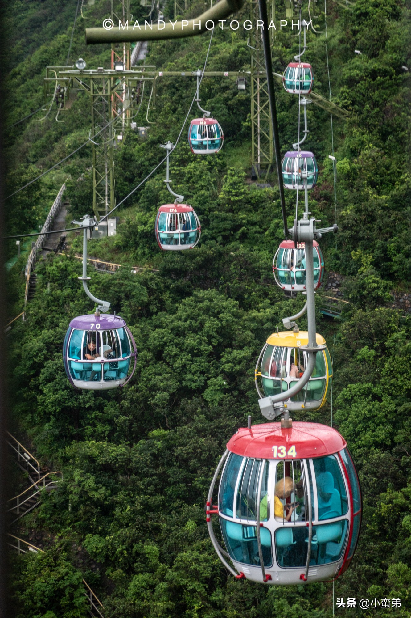 香港巡礼|是谁！敢拿水枪给20岁的海贼王庆生？