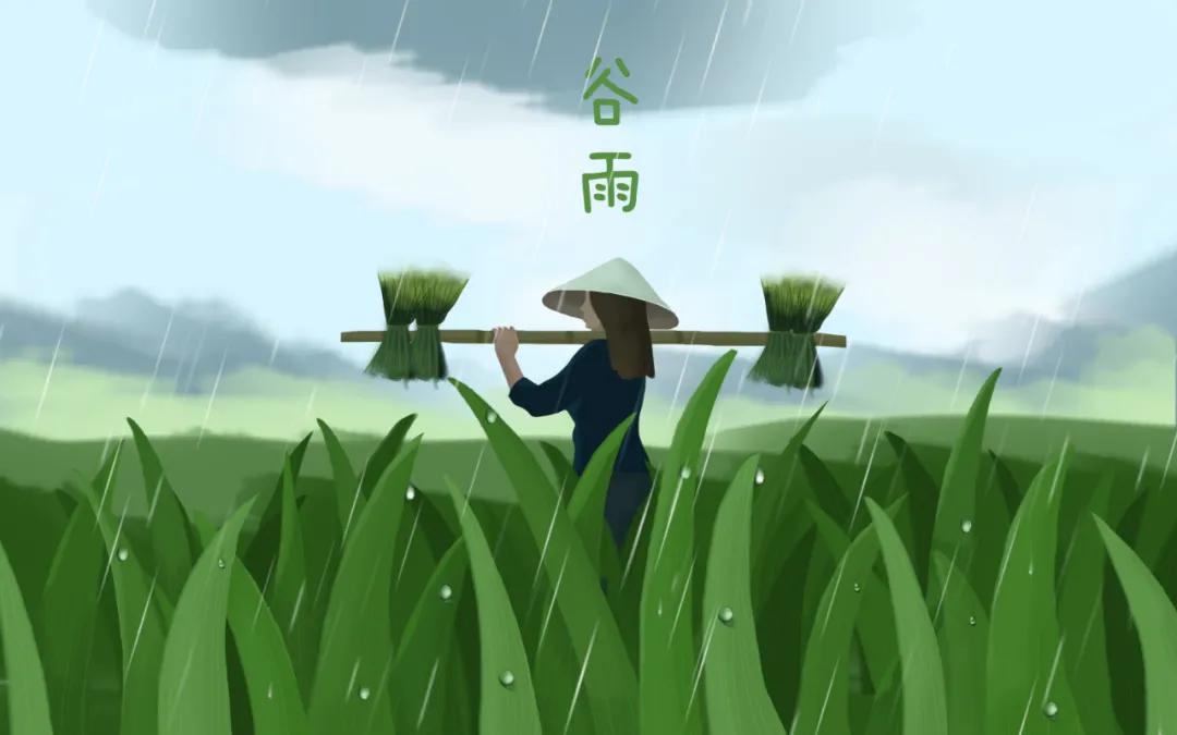 谷雨养生牢记健脾养肝的三个秘诀,春季养肝祛湿最佳方法图片