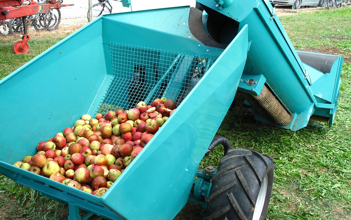 果农赚不到钱怎么办,现在果农种植苹果还有前途吗