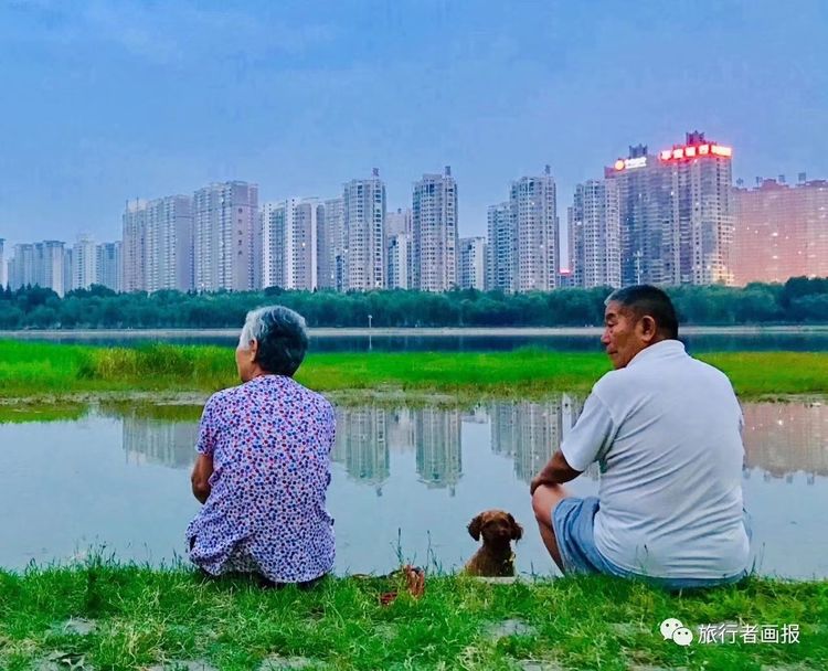 洛阳晚报作品,洛阳晚报2020年