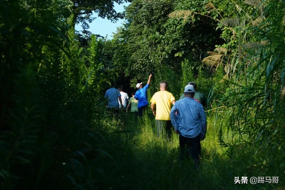 上海附近有哪些露营地可以看星星,上海周边免费露营地推荐人多