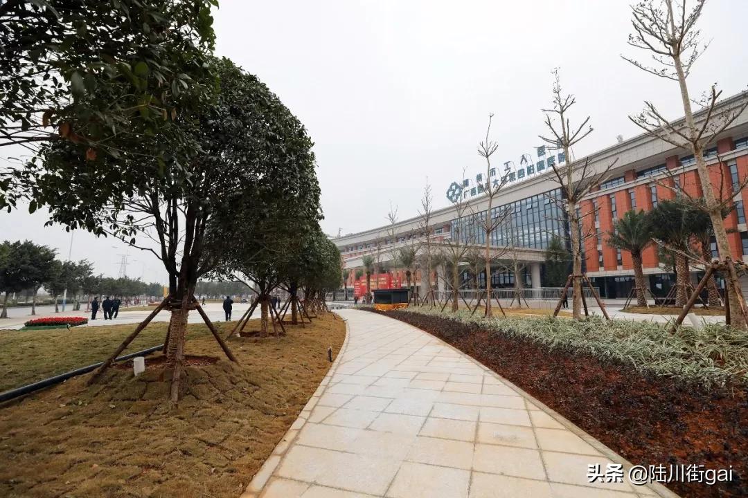 广西柳州工人医院新院,柳州工人医院规划