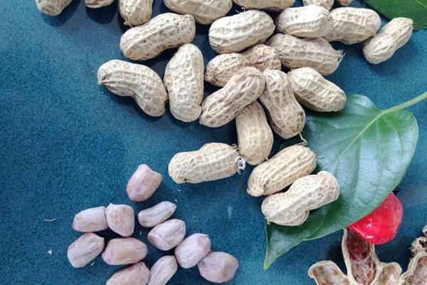 建在小岛上的县城,浙江舟山岱山县简介