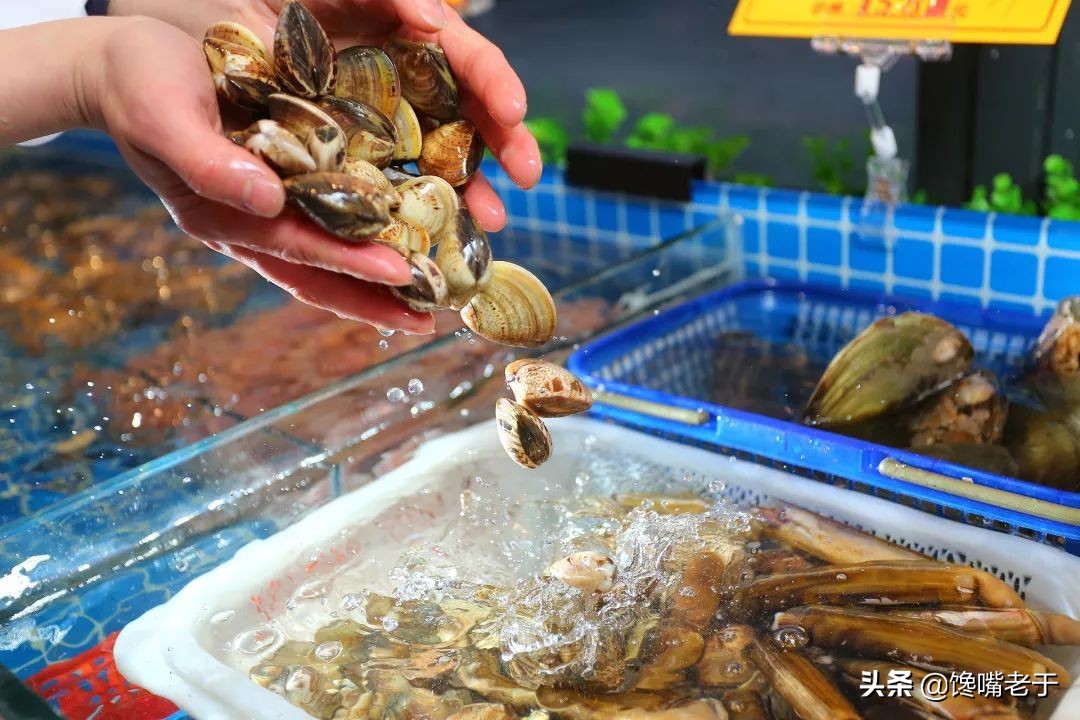 买海鲜必知道的事情,买海鲜需要掌握哪些知识