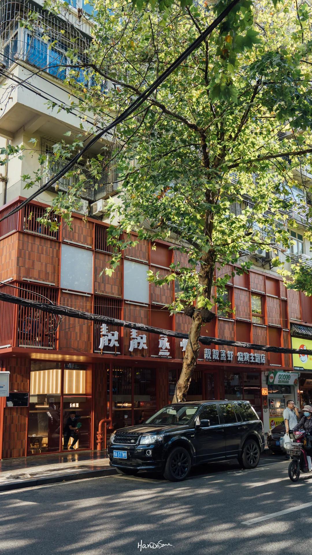 你多久没走过墨尔本,你多久没去过老街