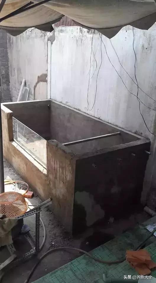 建一个锦鲤池要多少钱,园林锦鲤池建造