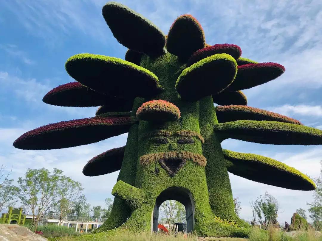 成都大邑奇境花园视频,安仁奇境花园魔豆塔