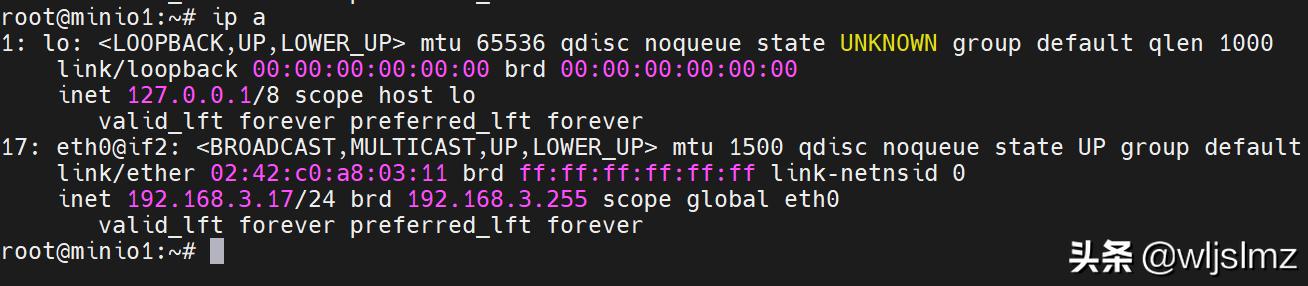 Linux系统查看本地IP,linux系统如何查看ip地址