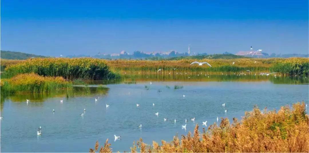 浪漫树屋、奇妙酒店、恒温水乐园...去江浙沪Top酒店跨个30℃的年