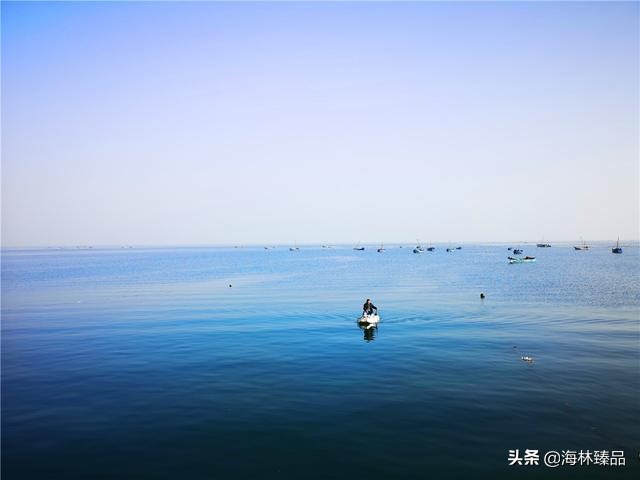 探秘海参的捕捞过程,野生海参采捕视频大全