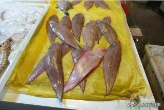 象山游玩住宿攻略自驾,桂林象山旅游攻略自驾