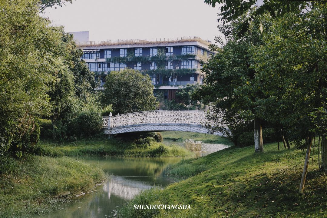 长沙秋季旅游景点推荐,长沙旅游攻略必玩的十大景点推荐