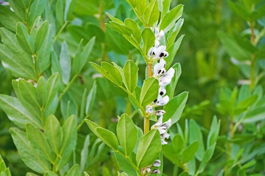 说秋道冬话永胜，气候多样人宜居