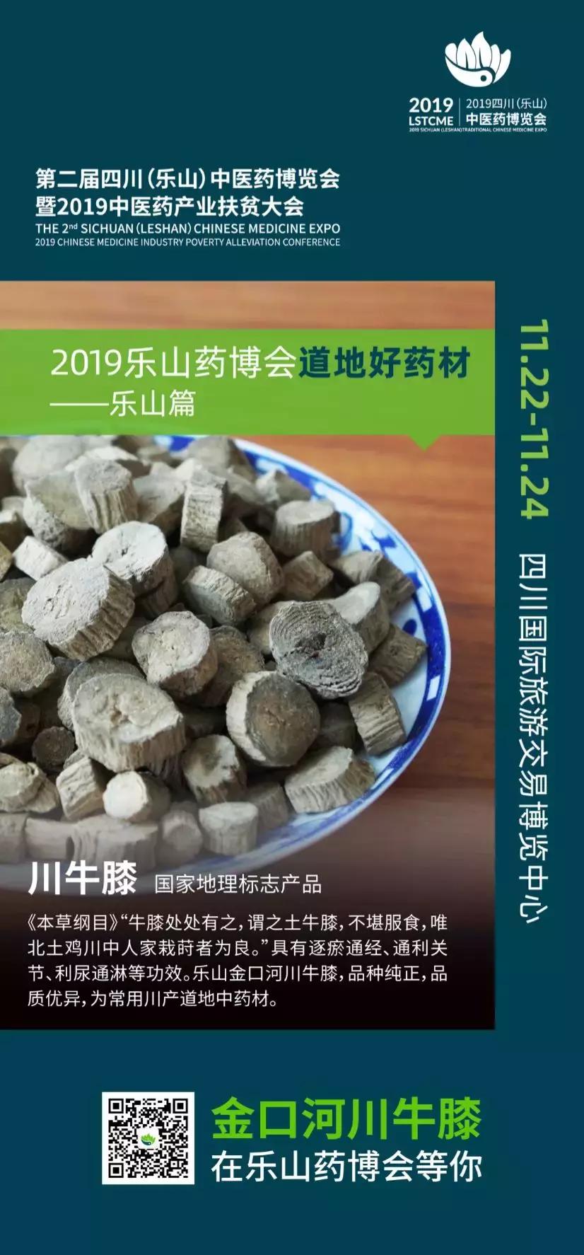 金口河川牛膝基地,金口河川牛膝基地雪景