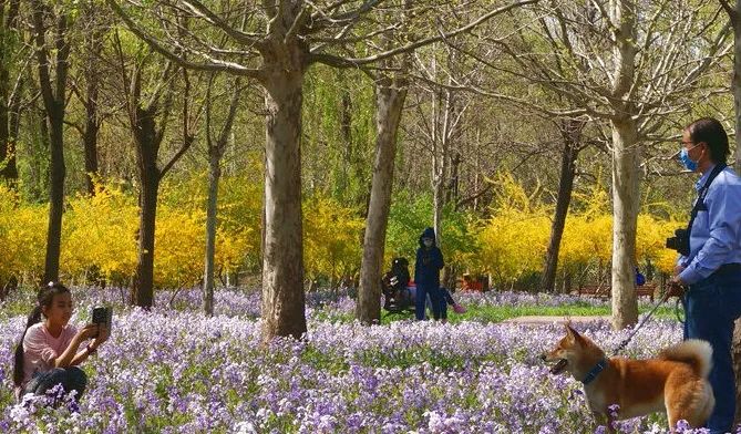 北京戒台寺郊野公园,北京燕山东岭郊野公园