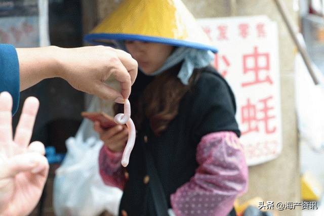 全世界顶级的4种海鲜,世界十大名贵海鲜