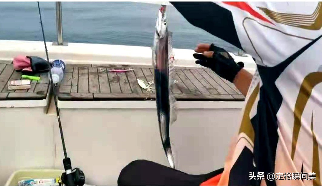 禁渔期青岛垂钓爱好者,青岛休渔期去哪里钓鱼